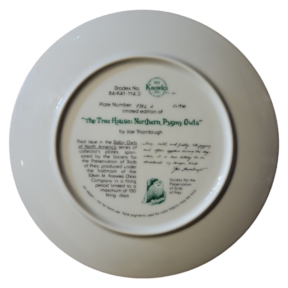 Vtg Plate The Tree House: Northern Pygmy Owls Hallmark #9306A - Picture 2 of 3